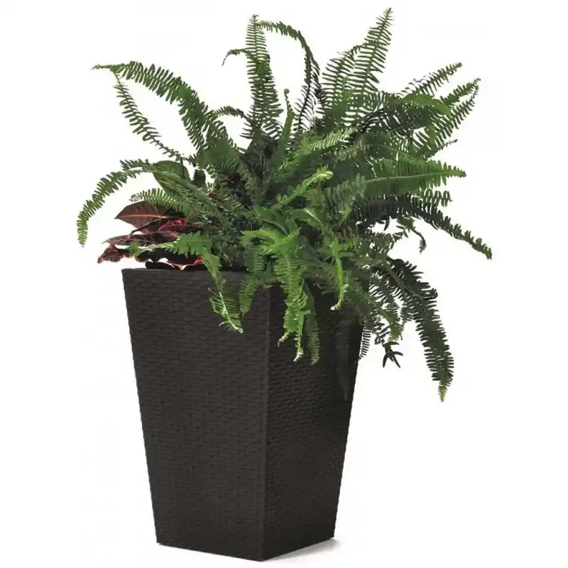 KETER RATTAN PLANTER L 144,8L Rattanübertopf, 53 x 73 cm, anthrazit 17192302 Preisreduziert