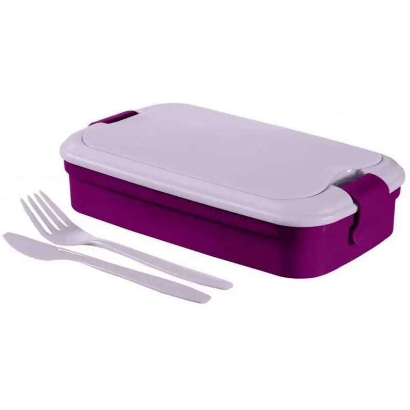 Sale CURVER LUNCH GO Lunchbox 23 x 13 x 7 cm lila 00768-B35