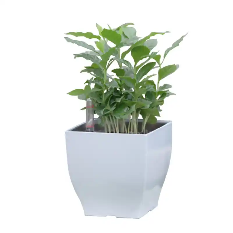 G21 Blumentopf mit Wasserspeicher Cube mini weiß 13,5 cm 6392570 Top-Seller
