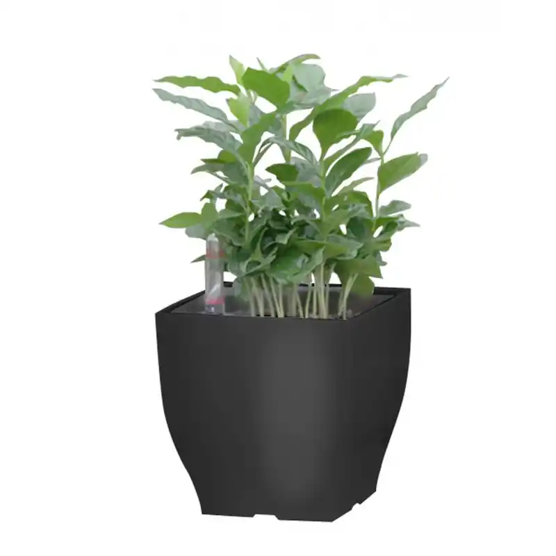 Preiswert G21 Blumentopf mit Wasserspeicher Cube mini 13,5 cm schwarz 6392573