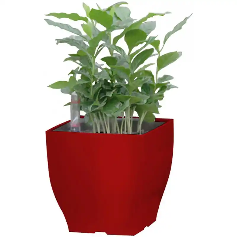Direkt Vom Hersteller G21 Blumentopf mit Wasserspeicher Cube mini rot 13,5 cm 6392574