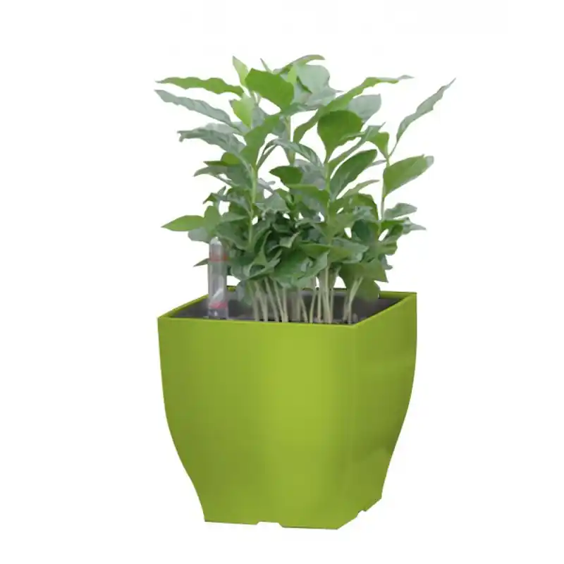 Must-Have G21 Blumentopf mit Wasserspeicher Cube mini grün 13,5 cm 6392575