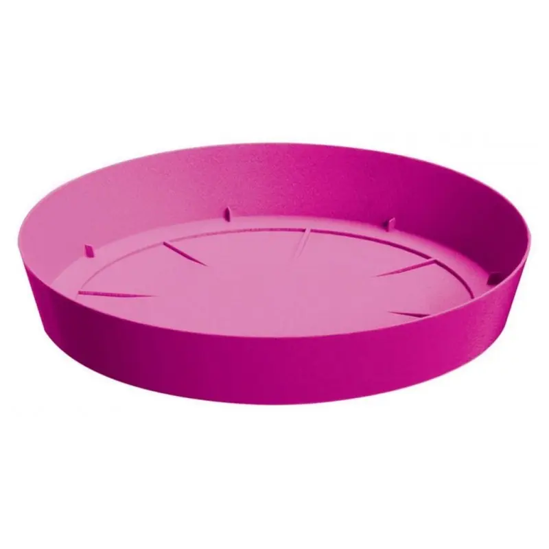 Aktuell PROSPERPLAST LOFLY Untersatz rund 10,5x1,5cm fuchsie PPLF105