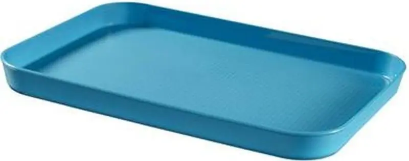 CURVER ESSENTIALS Tablett 43 x 31 x 3,5 cm blau 00738-656 Markenware