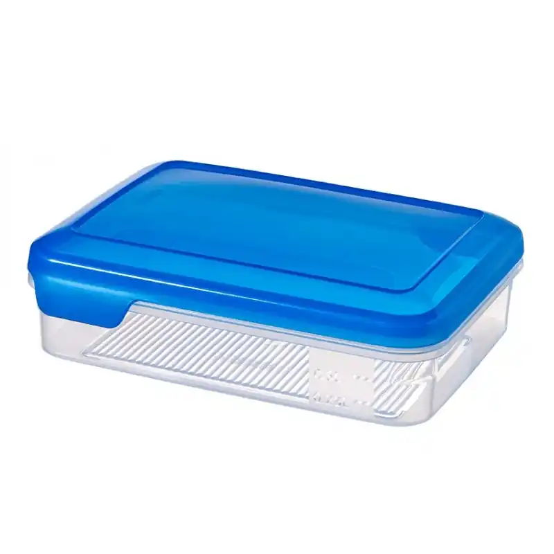 Versand Am Gleichen Tag CURVER FLEXI Chef Vorratsbehälter 6 x 20 x 15 cm, 1,1 l, 00385-281