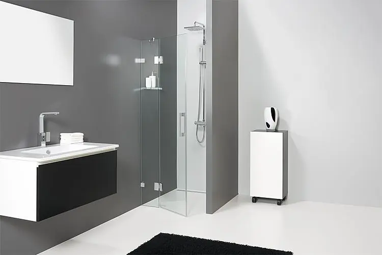 Nischentür Elisei Modell 2 1 Dreht.+1 Fixt.,780x2000x8mmESG Anschlag links Super-Preis