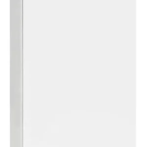 Hochschrank ELA mit Softclose Korpus weiß smt - Front weiß smt 400x800x350mm Schnäppchen