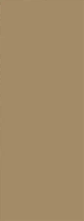 Duschrückwand (Uni Mocca) BxHxT 1200x2500x3mm Wochenendangebot