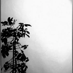 Garantierte Lieferung sanibel 1001 Spiegel rechteckig A21 1000x600mm ohne Befestigung