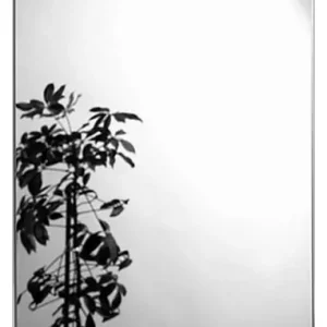Direktkauf sanibel 1001 Spiegel rechteckig A21 600x450mm ohne Befestigung