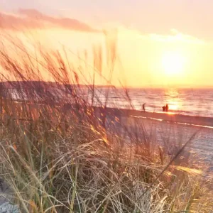 Wandverkleidung V3 Alu 997x 2550mm 105 Dünen am Meer VIGOUR Preisknaller