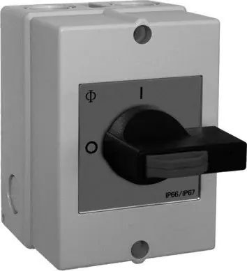 Wolf Revisionsschalter ESH 21 für ER-RDM 56/57, 2136715 2136715 Neue Ware