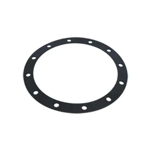 Neu Viessmann Speicherdichtung 250 x 310 x 3 mm 7810737