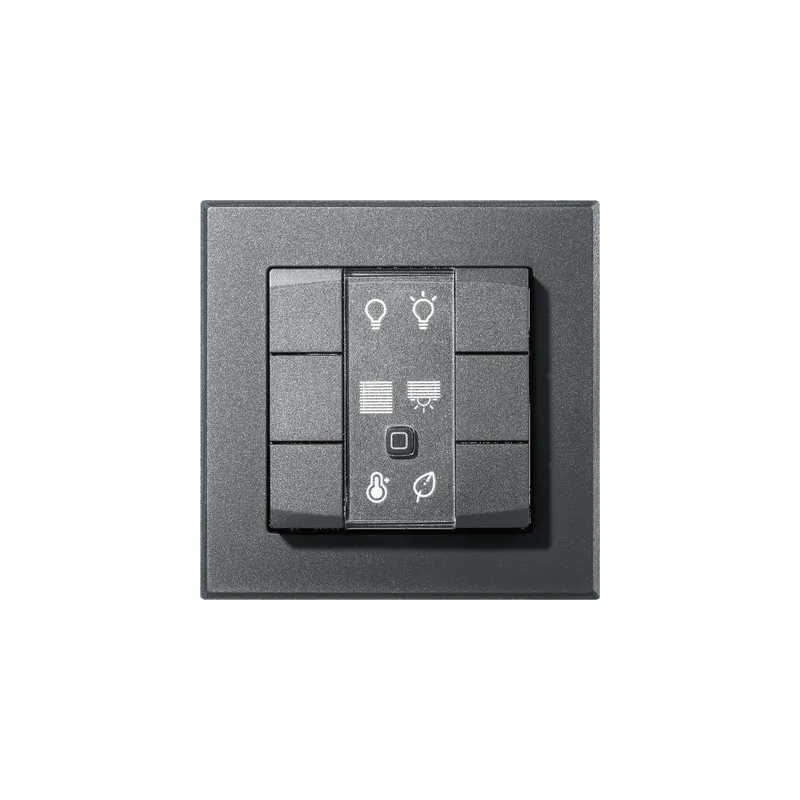 Finale Aktion Homematic IP Smart Home Wandtaster HmIP-WRC6 - 6-fach anthrazit