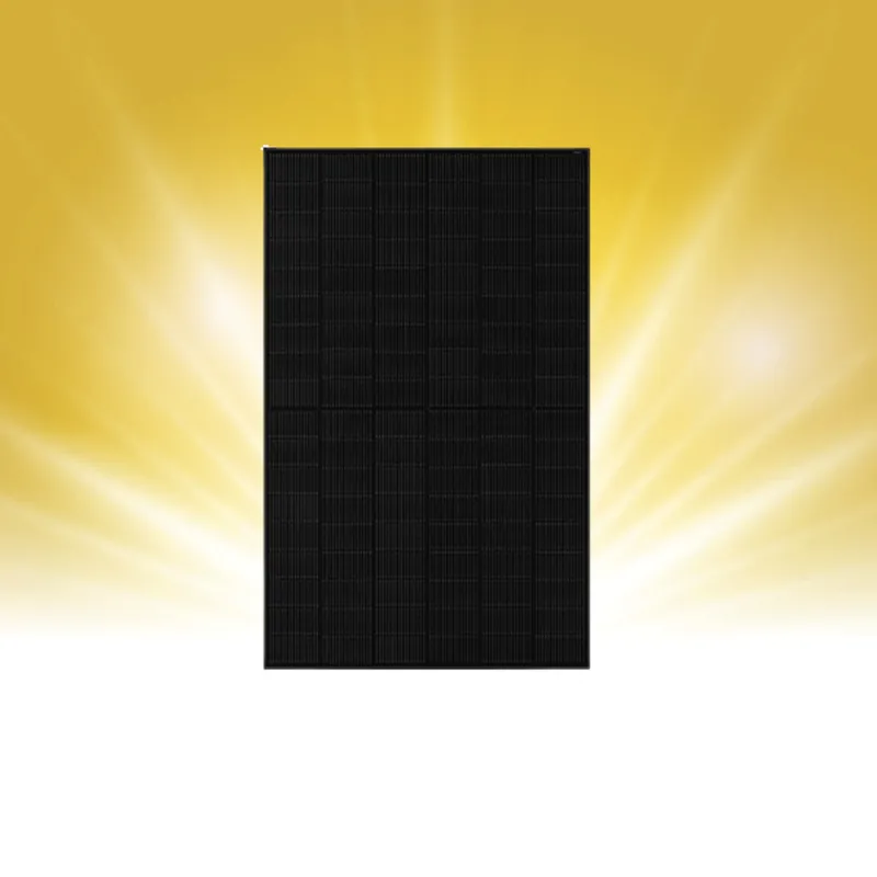 Letzte Chance JA Solar (JAM54D-41-445-LB) 445 Wp N-type Doppelglas Bifazial LB All Black MC4