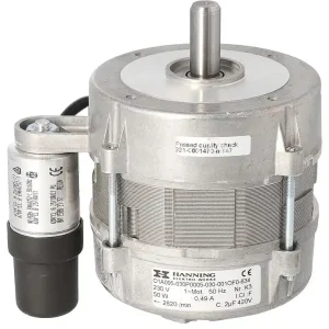 Gebläsemotor für SGN 100/110 Sofort Bestellen