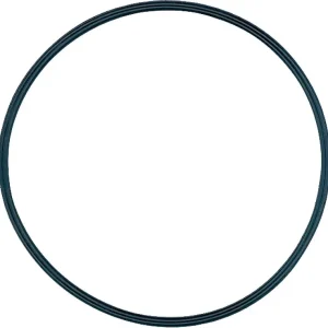 O-Ring (Deckeldicht.) 3007162 EINZELN Günstig