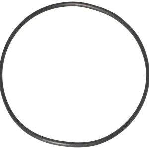 Preisknaller O-Ring dichtung Riello 3012868