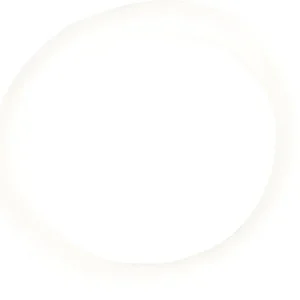 O-Ring für De Dietrich 0284236 Sonderaktion