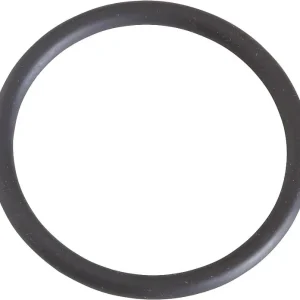 O-Ring für Flansche passend zu Minisit 710 Ref. 0.925.034 Super-Preis