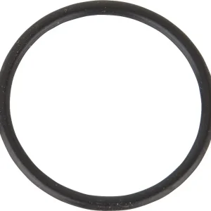 Begrenztes Angebot O-Ring Gaskrümmer Riello 3008004