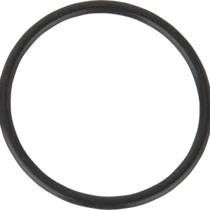 O-Ring Gaskrümmer Riello 3008005 Schneller Versand