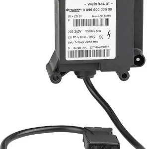Zündeinheit W-ZG 01 Purflame, 50W Abverkauf