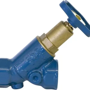 Blue-t Schrägsitzv.DN15/1/2" nichtsteigender Spindel IG x IG/ohne Entleerung Neue Ware